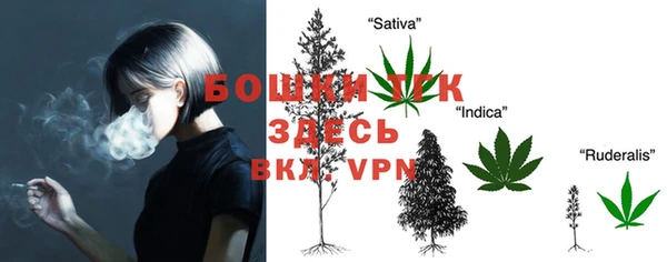 альфа пвп Нягань