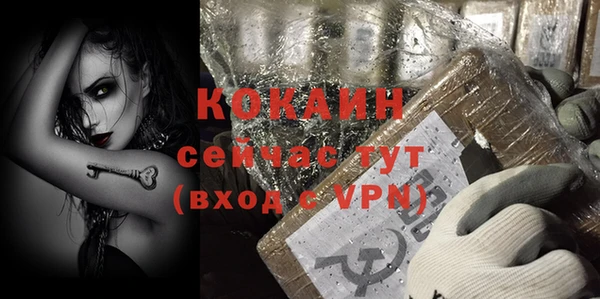 ECSTASY Яровое