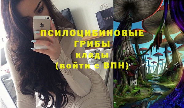 альфа пвп Нягань