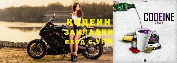 прущие грибы Заволжье