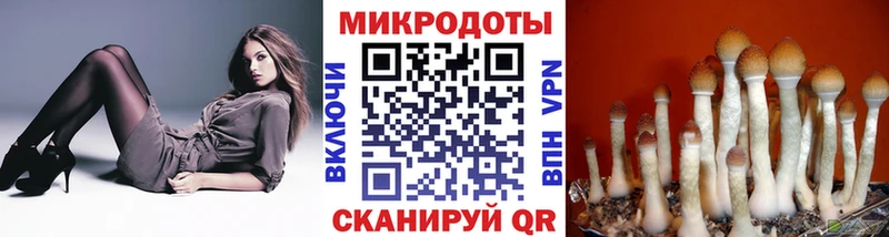 что такое   Кировград  Галлюциногенные грибы Cubensis 